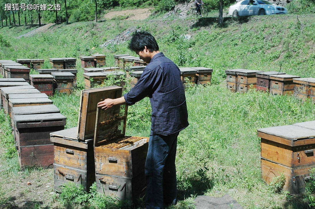 年轻人不愿意从事养蜂业,仅仅只是因为不赚钱吗?