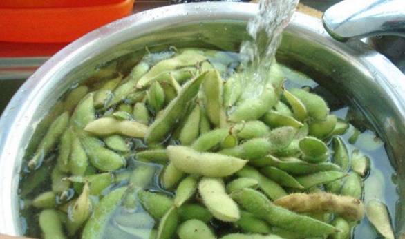 怎么晒干黄豆 a97e6bd1bc714bdfb7d254f23e732dca.jpeg