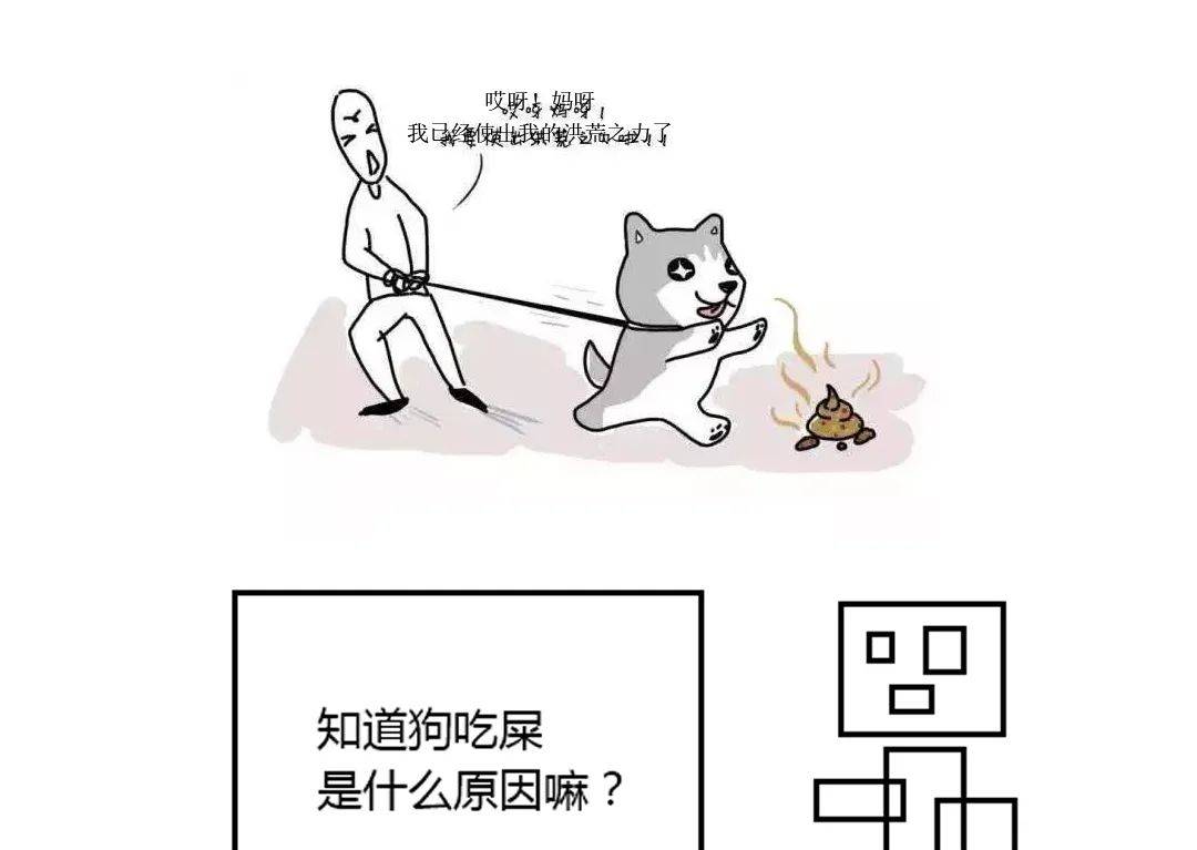 吃屎 来自搜狐网