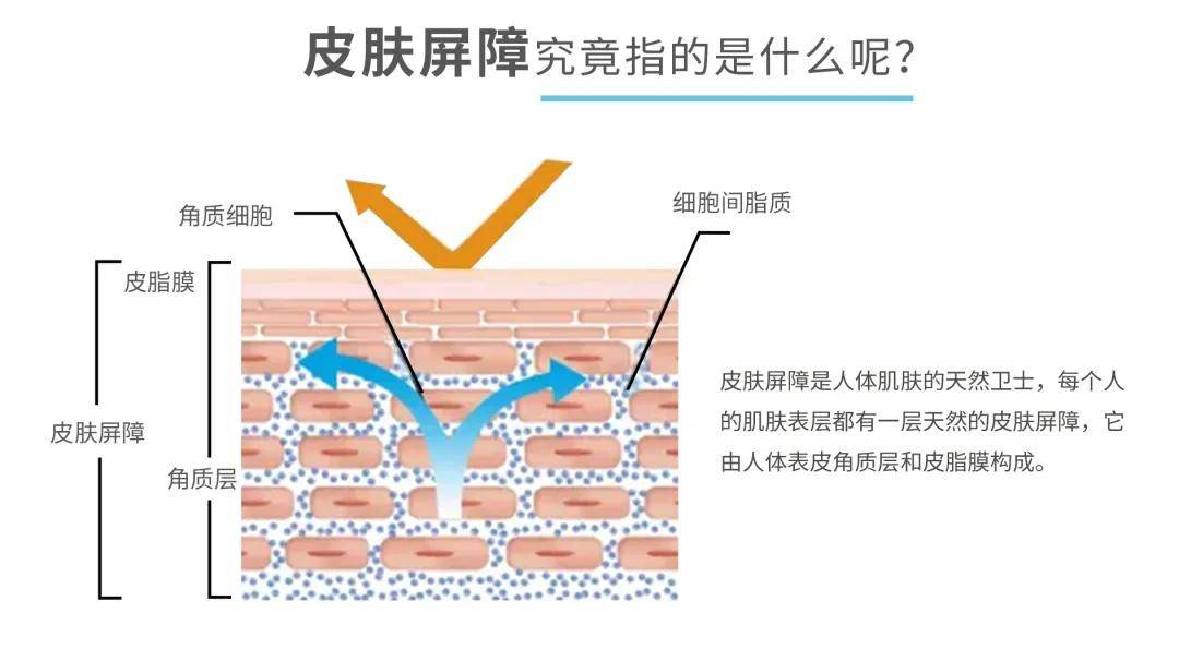 精准护肤超全皮肤屏障修复干货烂脸必修课