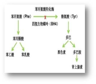 曲谱有没有人曾告诉你陈楚生