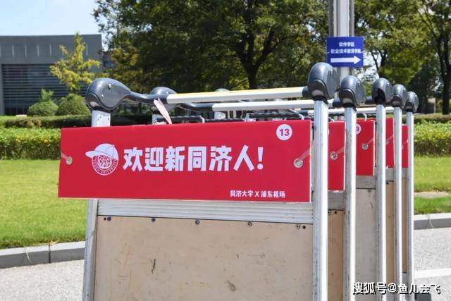 2020年450分排名_450分上建筑老八校,同济大学2020年本科录取分数