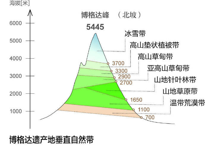 从山地草原带到冰雪带的6个垂直自然带(这是天山北坡最典型的垂直自然