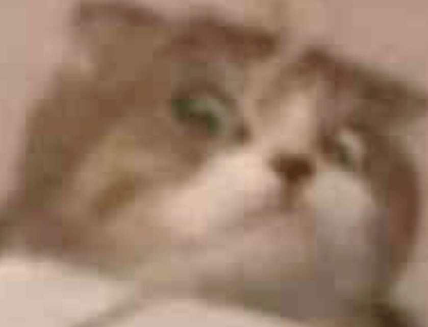 细数|名创优品的前身竟是街头10元店？细数那些挂着“洋牌”的国货