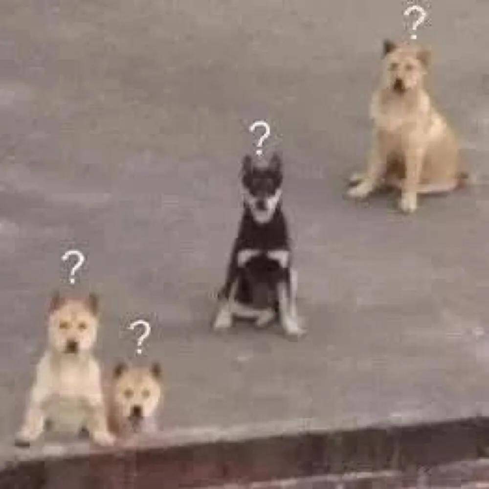 细数|名创优品的前身竟是街头10元店？细数那些挂着“洋牌”的国货