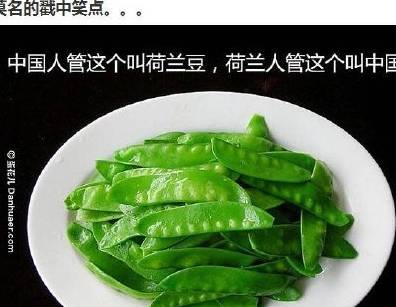 51011699777d413fb24fd4e9e38bd49a.jpeg