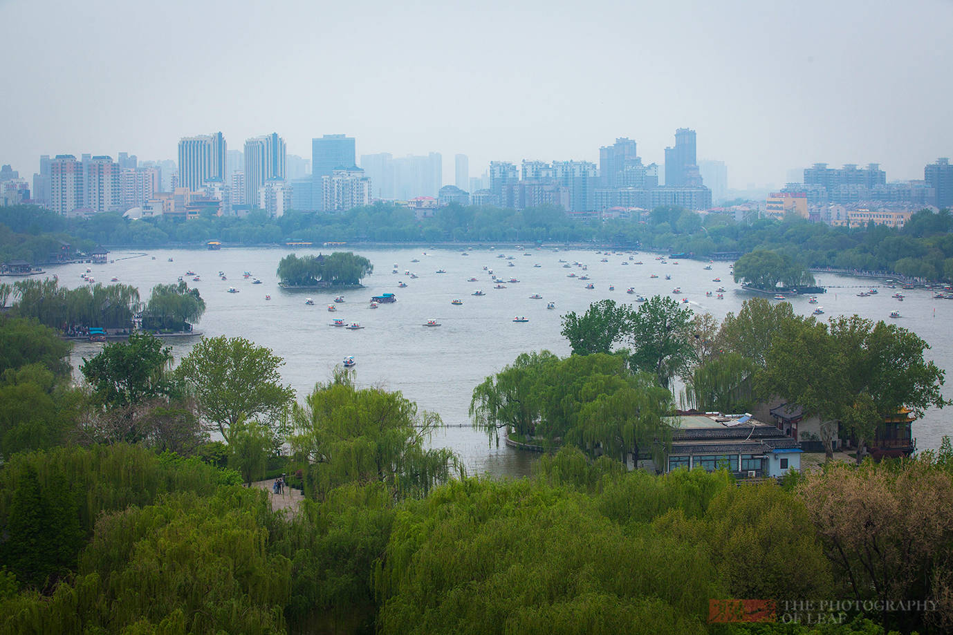 夏雨荷|乾隆心心念念的大明湖，不但没夏雨荷，46个大明湖才抵一个西湖