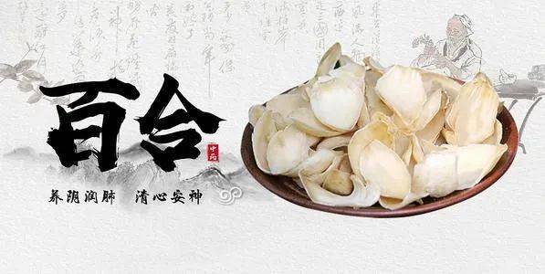 鲜百合怎么吃能治咳嗽