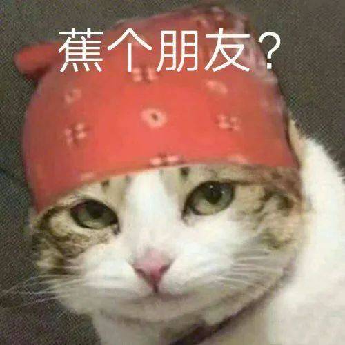 品牌|为啥同样是土味营销，巴黎世家被狂骂，老乡鸡却被捧出了圈？