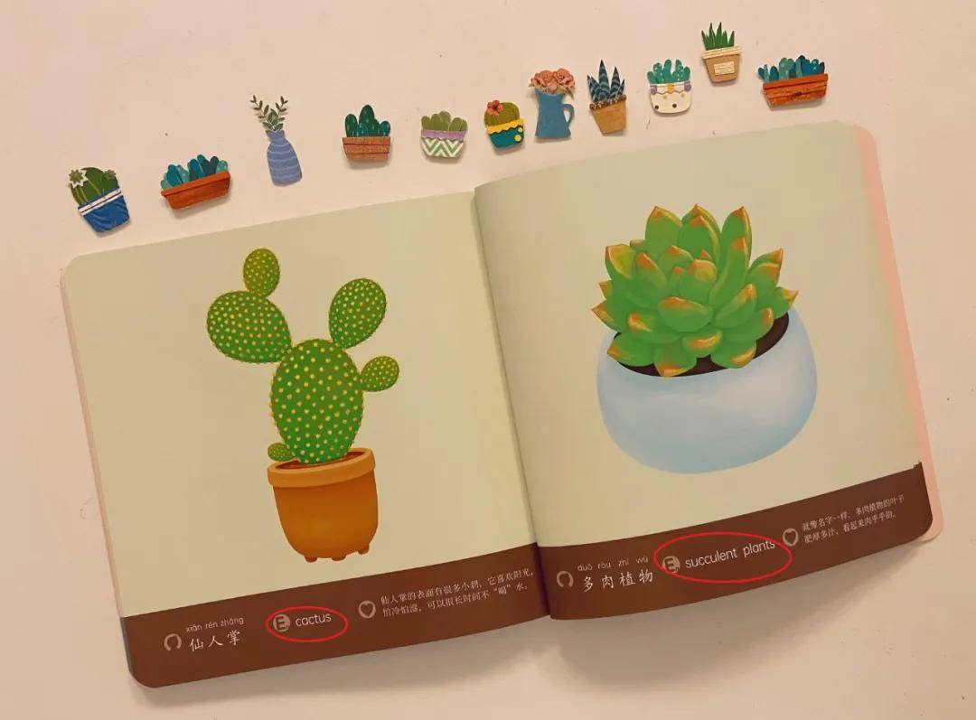 绘本|0~4岁绘本怎么挑？这套书给满分