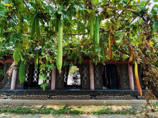 召公|“大象无形”、“甘棠遗爱”、”廉风垂范”、召公遗风 ——甘棠苑