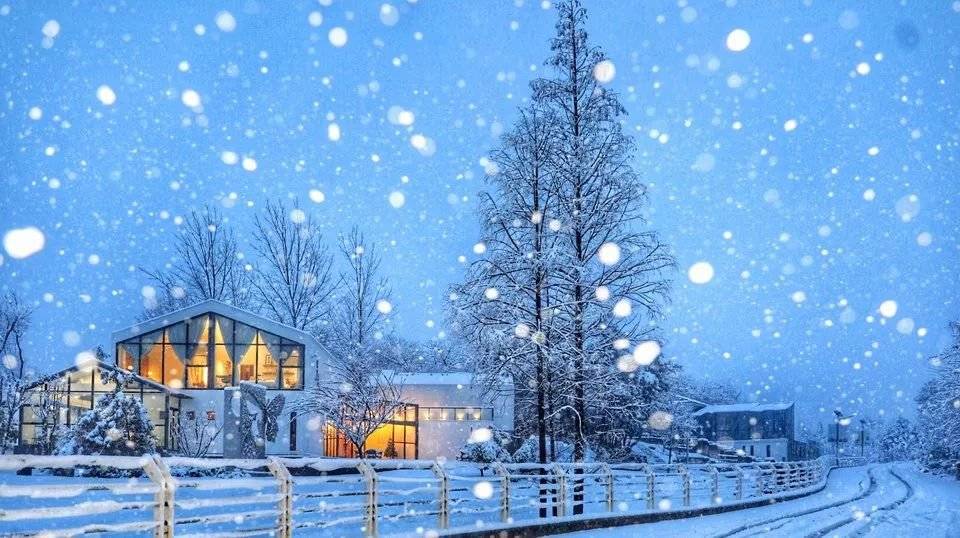 闭上眼,想象一下你脑海中的下雪场景 世界是不是像这样唯美浪漫