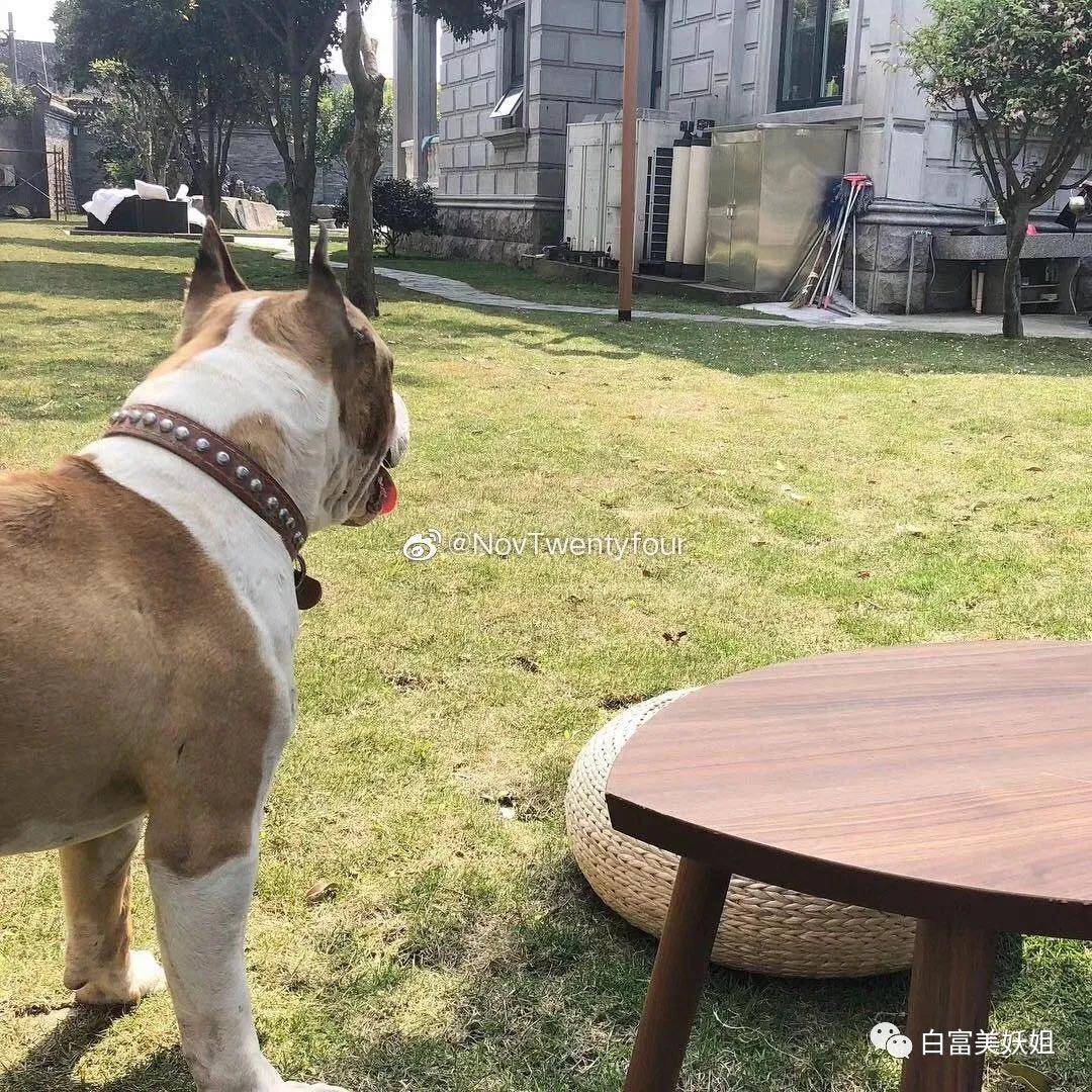 富二代|16岁收500w礼物,上海超级富二代名不虚传…