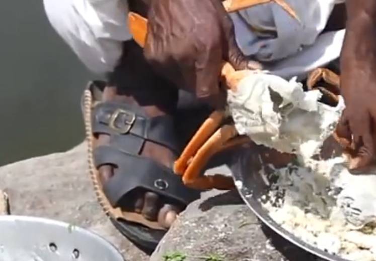 印度人口味_印度人(2)