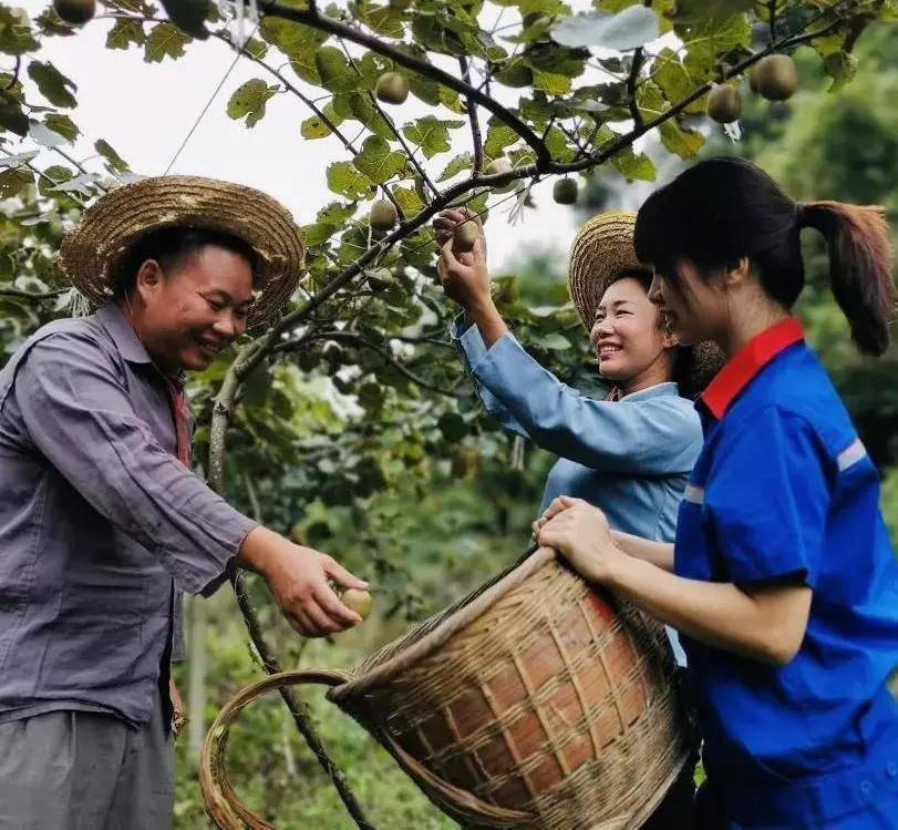 中国石化扶贫公益直播走进广西,速来围观!