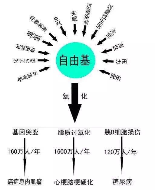 7bd1eda38bf345c2bbc707df51f359cc.jpeg