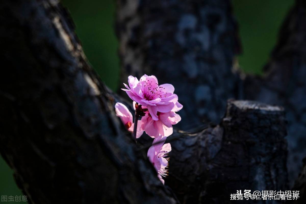 亚新体育图解十五种构图方法摄影新手必备的十五种经典构图技巧(图2)