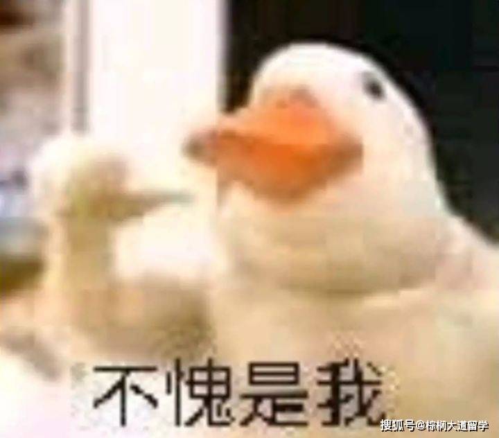 伦敦玛丽|学费全免，还有奖学金，全世界最土豪大学究竟要什么样的学生？