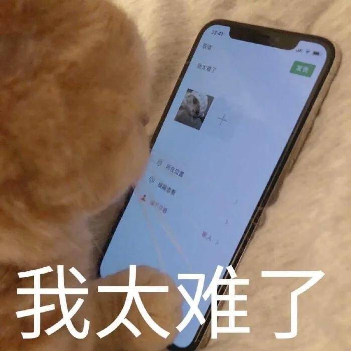 微信聊天表情包:我需要一颗白菜