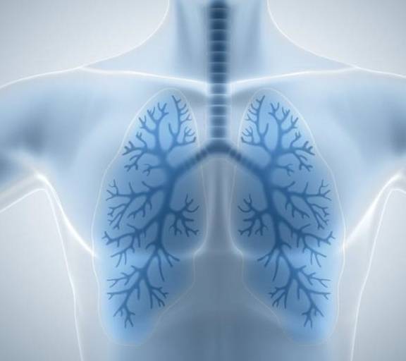 怎么养肺最快最有效 d066dee3f218464cb45df6c4fa26e50f.jpeg