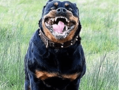 a3cdea058b4640ef8d9a02debf1ad9bd.png