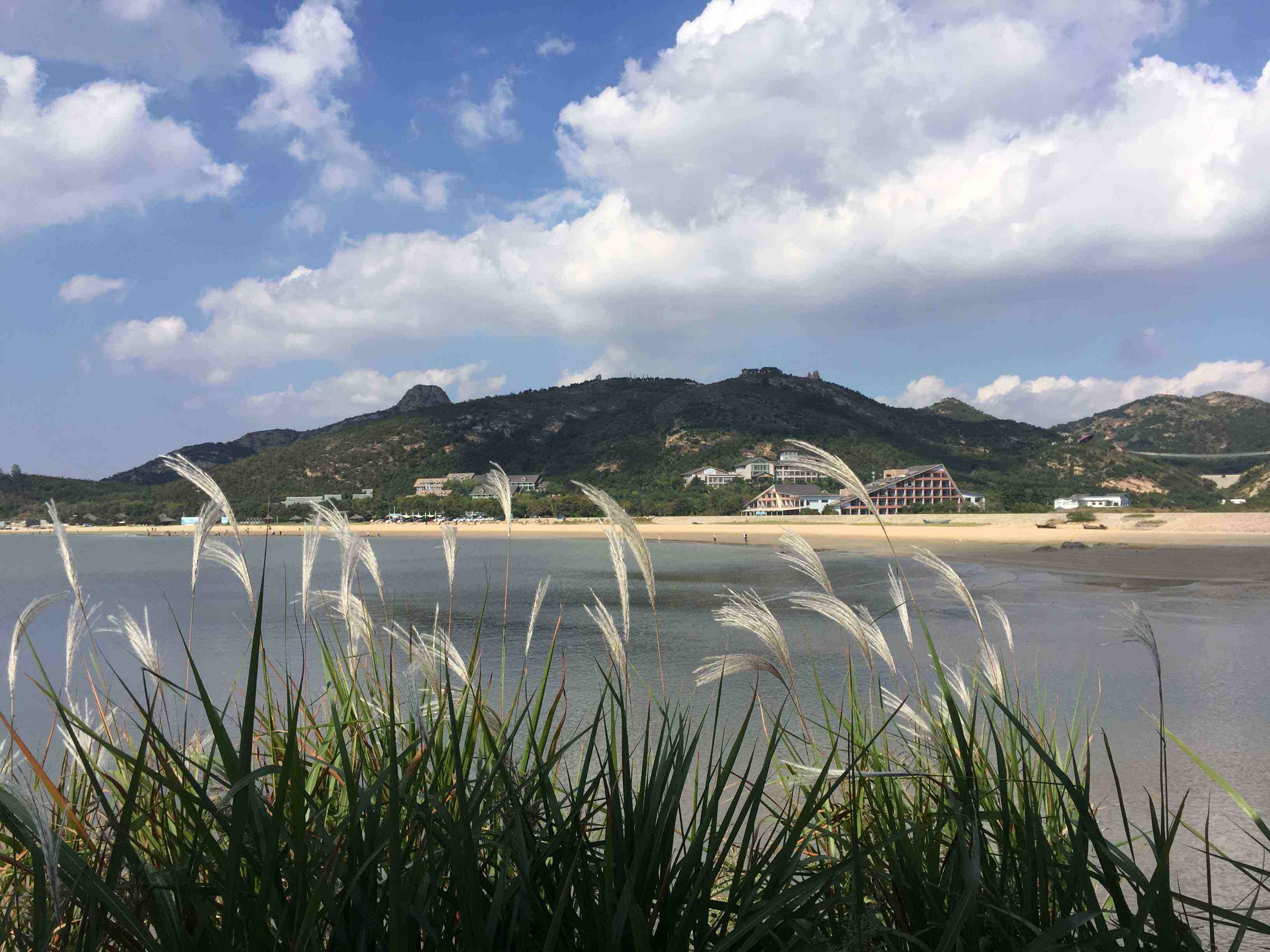 威海人口密度_威海职业学院(3)