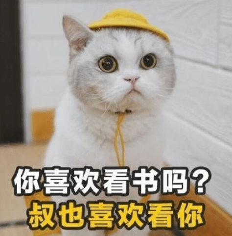 1724be8f4ba049daa3e601c0a03a2869.png