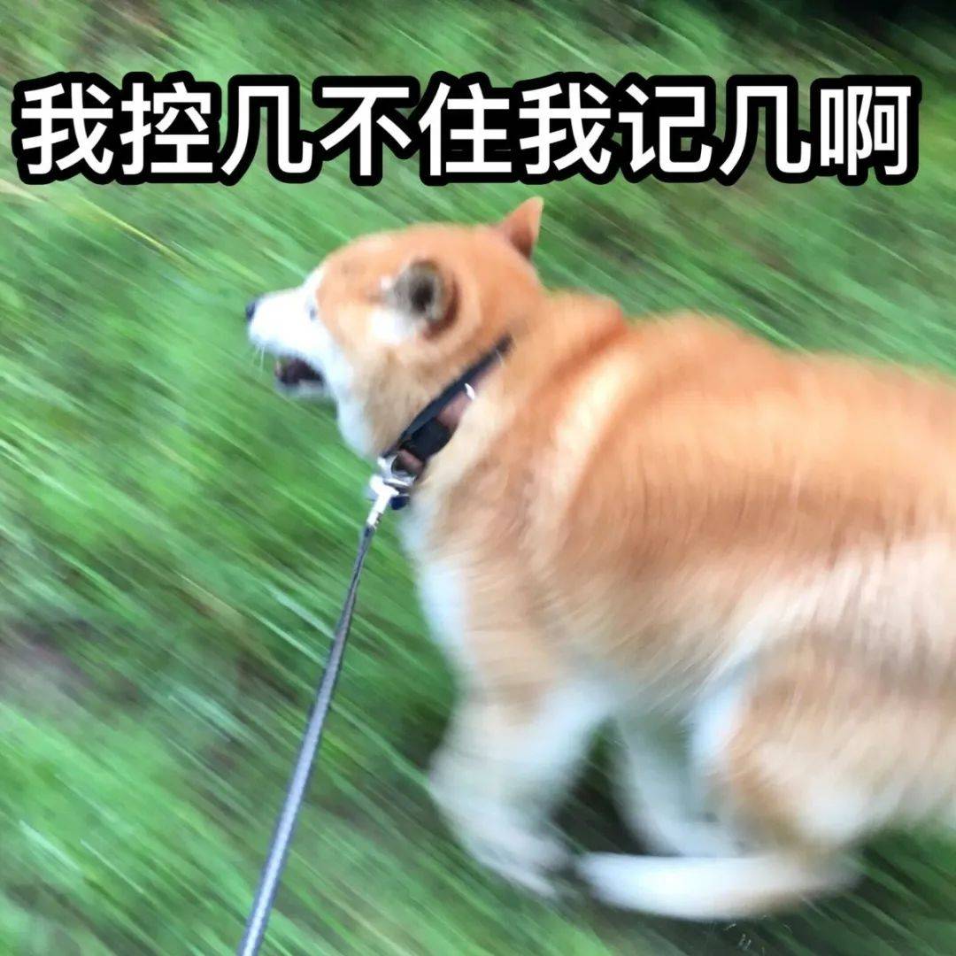 31747e432af3448bbe913a057098a86b.jpeg