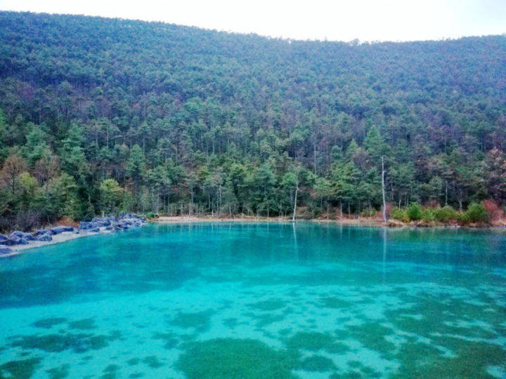 旅游自驾游还是跟团游优惠 7b87c8f9f87d4d339de8e8806844e4ae.jpeg