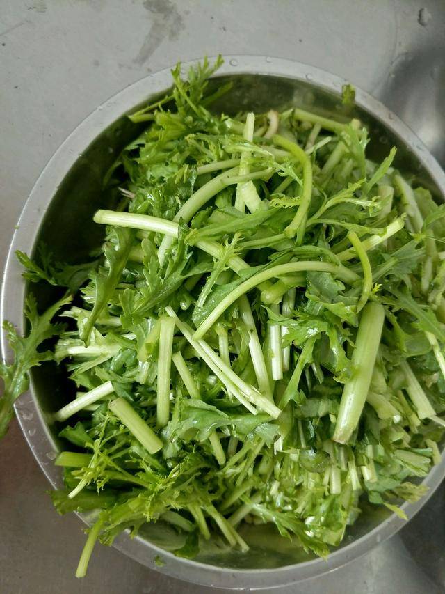 什么时候种大葱花 8f4ced36d42f466f80a91698a2440f10.jpeg