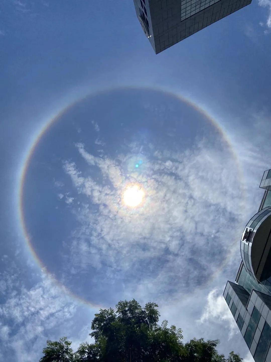 异象|突发!新加坡天降异象,绝美日晕刷屏了~(多图+视频)