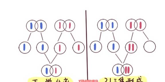 小美|长大后有福气，邻居无意间一番话家人紧张奶奶逢人夸孙子是断掌