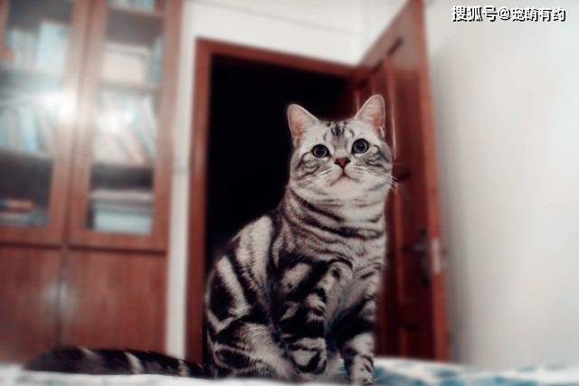 38bf6e857ebe4fb5b96eb1e899d2120b.jpeg