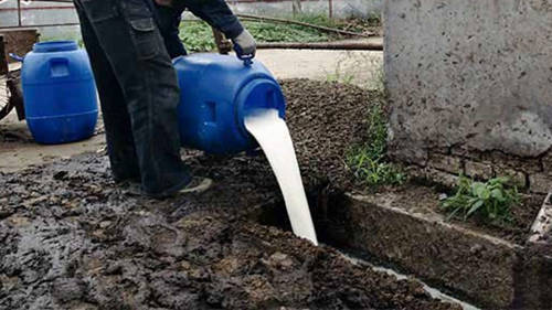 牛奶|为何农场主将牛奶倒进河，也不给穷人喝？