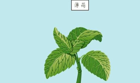 调料|女性有孕时，这几种调料少吃为妙，容易伤害孩子的身体发育