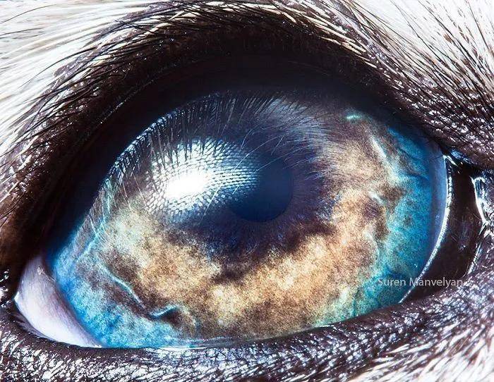 拍摄方法保密!物理博士记录上百双眼睛里的星辰大海