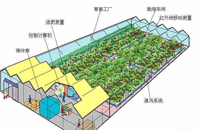 物联网中的玻璃温室