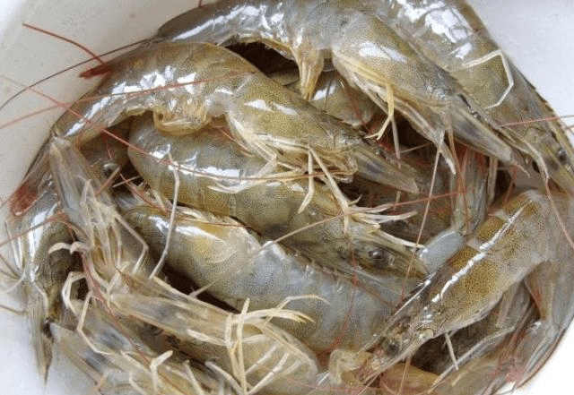 怎么样处理虾线 56765f726e134a5a935a5524d6a0b60d.png