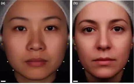 西方|东西方顶级神颜都共用同一张脸?