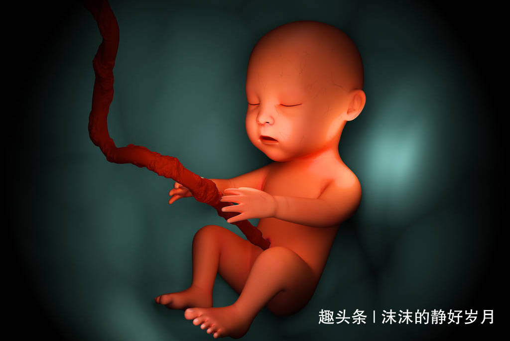 宝宝|会导致胎宝宝脐绕颈？还是听听专家的解释吧孕妈妈常摸肚子