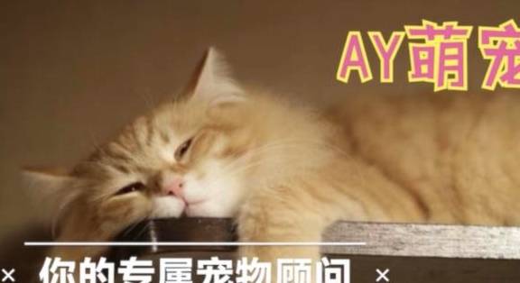 f064234aa1e54f36893c9ff2d5cb04cc.jpeg