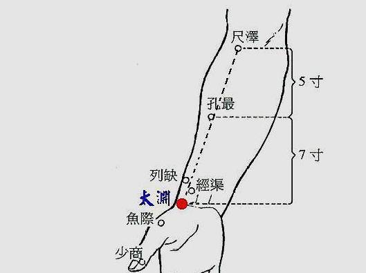 一首肺经歌诀,掌握肺经经络和十一个穴位