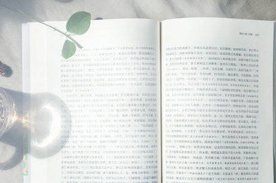 2da6a635c16448c097c02c572e69c659.jpeg