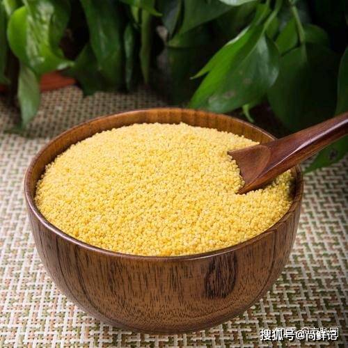 小米加什么健脾 476a68974cb04fd1a2156aa9f6daf4ff.jpeg