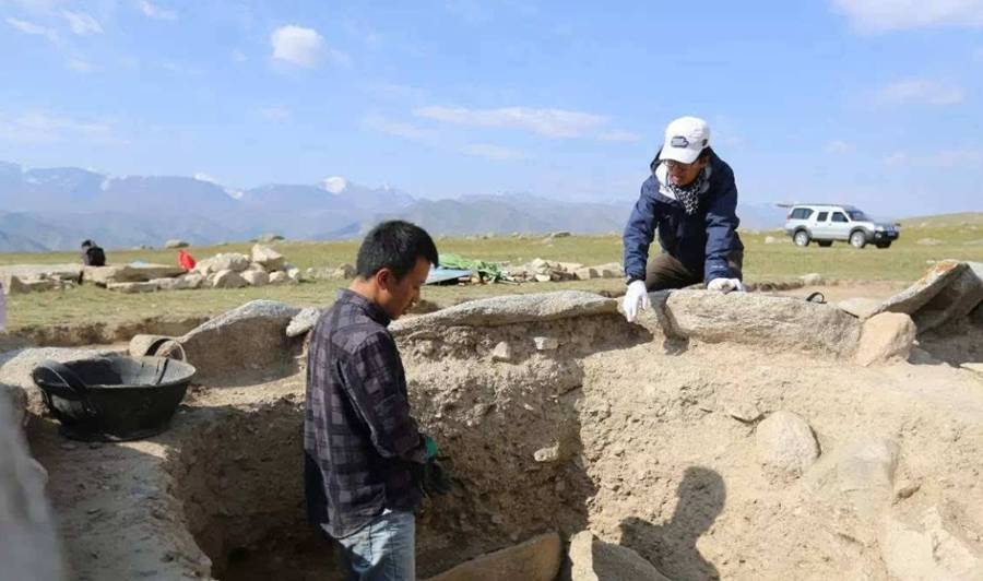 如何让土地寸草不生 758b1810442c405a8c3d23ba6704179b.jpeg