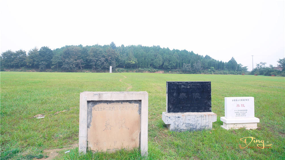 原创陕西杨凌区神秘的泰陵建筑藏在农田中与终南山只相隔一条渭河