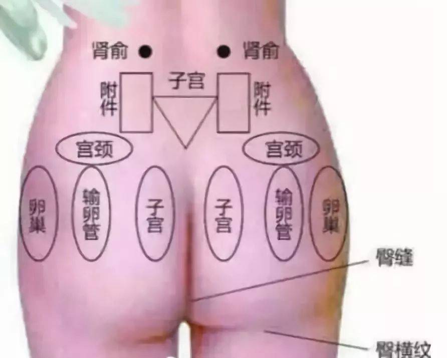 9c08964e20e64e98a4e98a81dcca41a6.jpeg