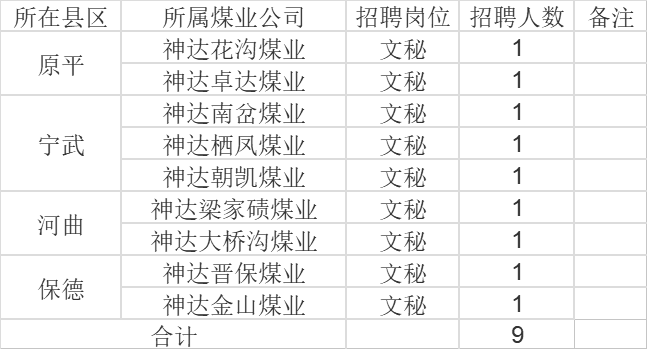 山西忻州神达能源集团招聘9名文秘人员公告_公司