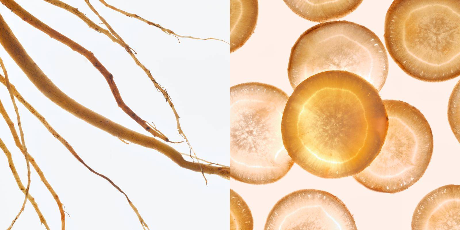 牡丹|人间韶光复流连，众里WEI她倾国色