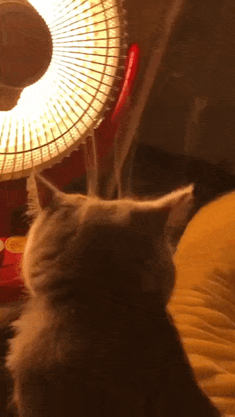 原创搞笑gif动图:感觉这还没玻璃栈道恐怖啊?用得着吓成这样么?